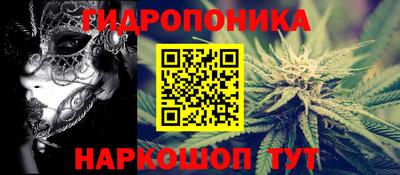 шишки Донецк