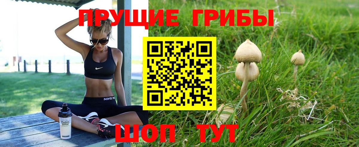 Галлюциногенные грибы MAGIC MUSHROOMS  Вход с VPN  Кизляр 
